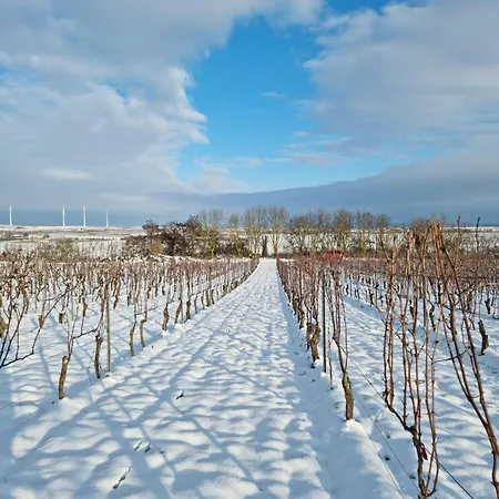 Gaestehaus & Weingut Peth Hotel 3*