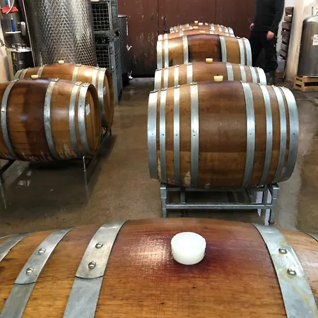 Gaestehaus & Weingut Peth Florsheim-Dalsheim