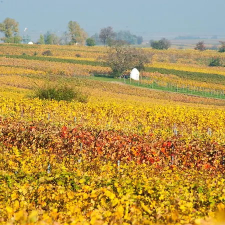 Gaestehaus & Weingut Peth Florsheim-Dalsheim