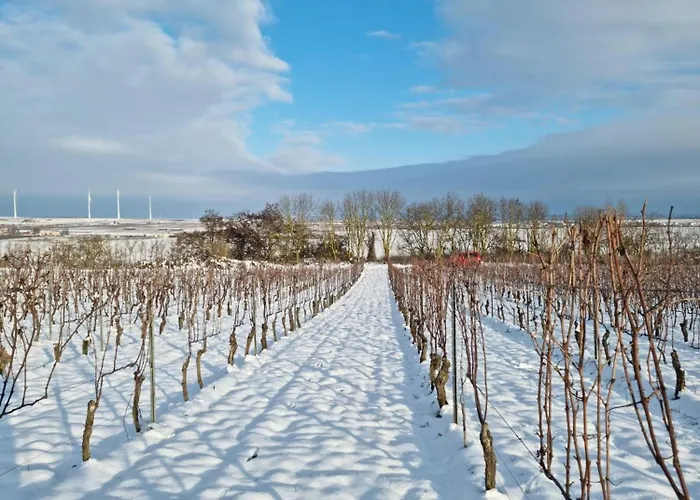 Gaestehaus & Weingut Peth Hotell 3*