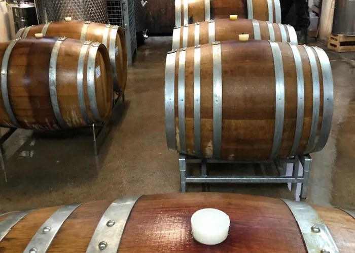 Gaestehaus & Weingut Peth Florsheim-Dalsheim